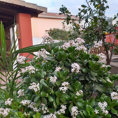 Appartement I Due Ciuchini Sardinia à Sassari Extérieur photo