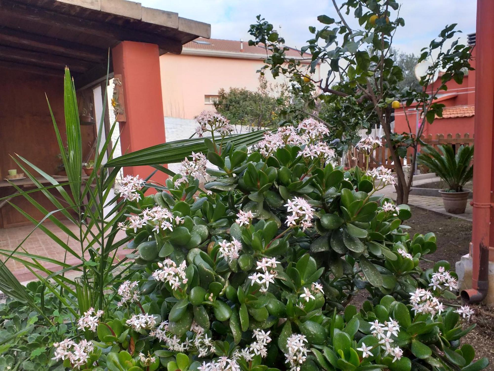 Appartement I Due Ciuchini Sardinia à Sassari Extérieur photo